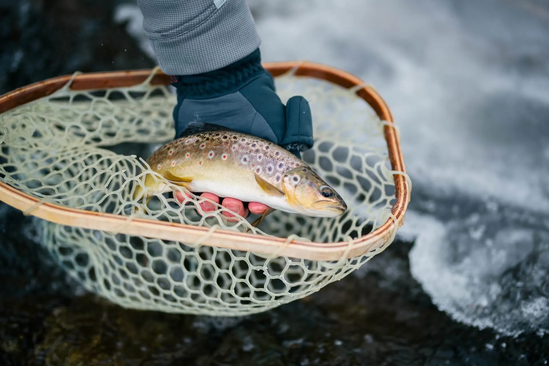 Fly Fishing Net